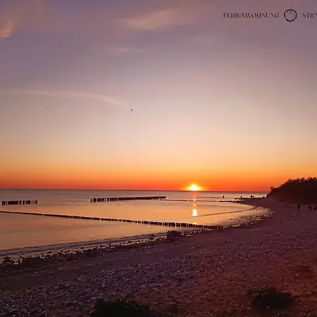 Strandmuschel In Der Daheim In Juliusruh