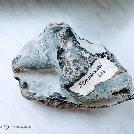 Strandmuschel In Der Daheim In Juliusruh Appartamento Breege