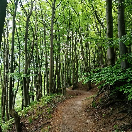 Appartamento Strandmuschel In Der Daheim In Juliusruh